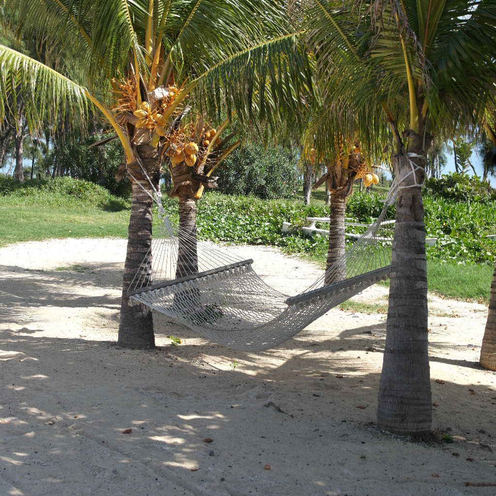 riippukeinufiiliksiä Mauritiukselta.